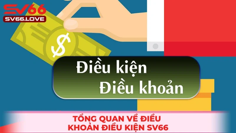 Vài nét về chính sách điều khoản tại nhà cái